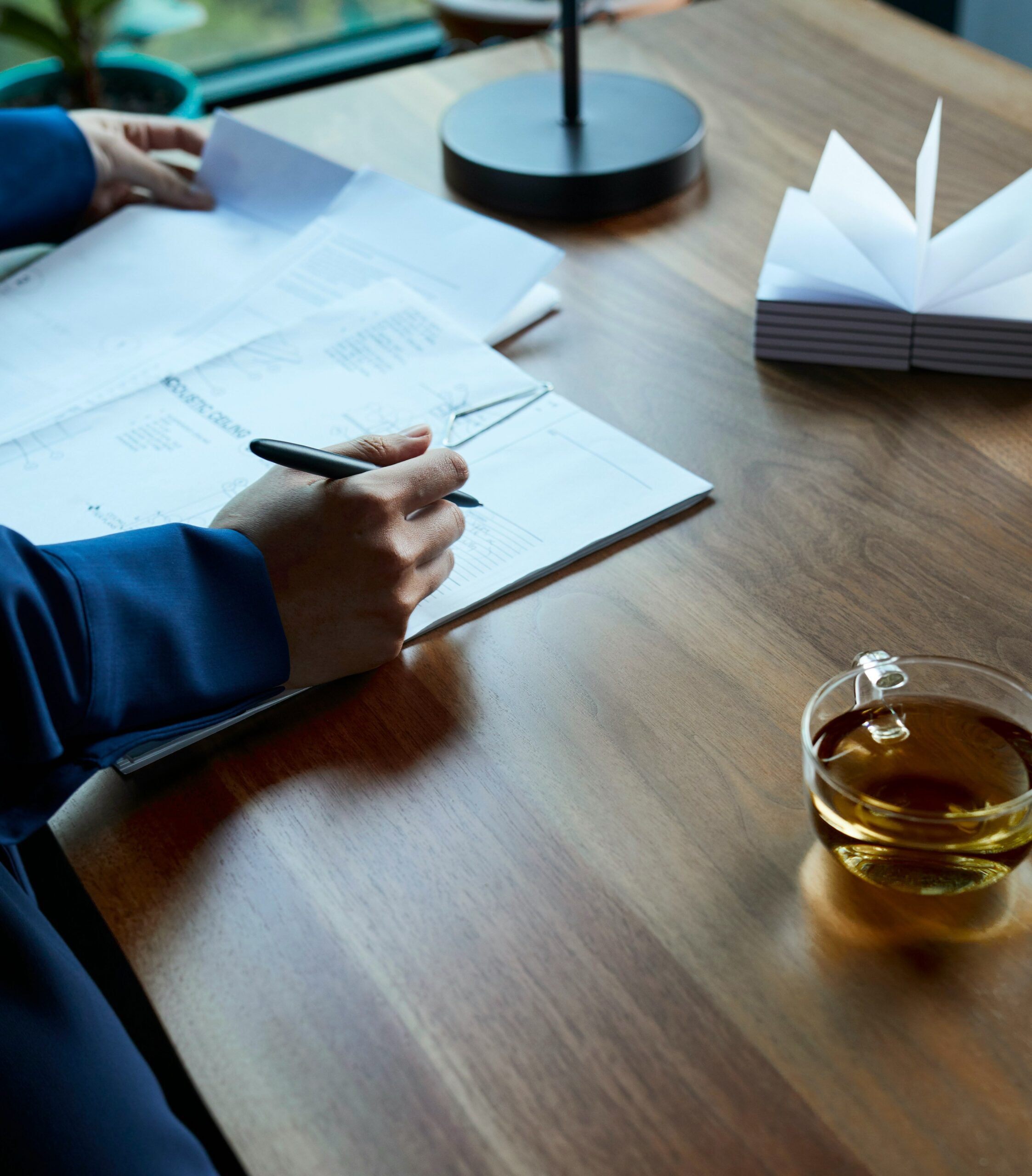 Student Visa Filing1